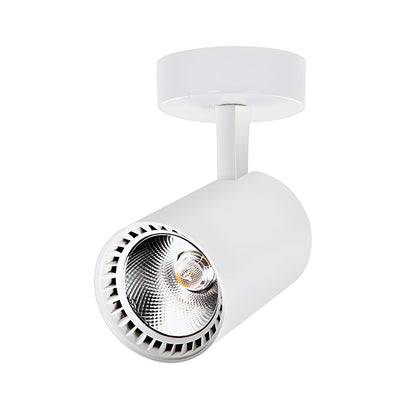 Calla Beam Spotlight