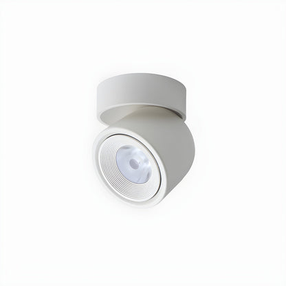 Clara Rotating Surface Downlight