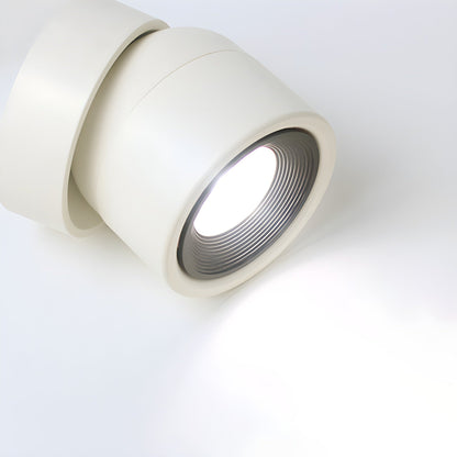 Clara Rotating Surface Downlight