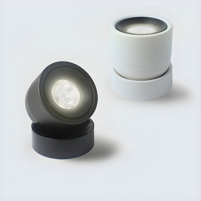 Clara Rotating Surface Downlight