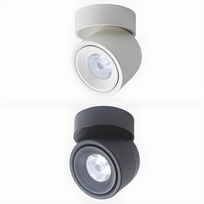 Clara Rotating Surface Downlight