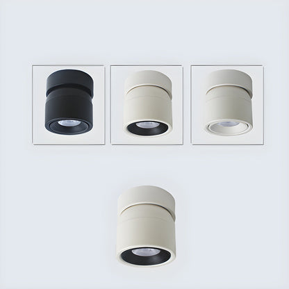 Clara Rotating Surface Downlight