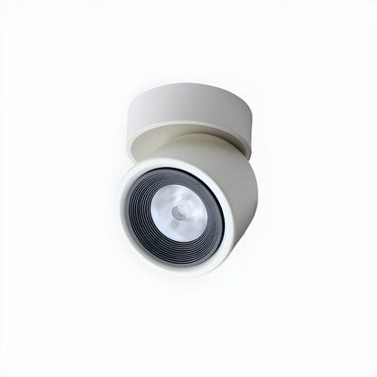 Clara Rotating Surface Downlight