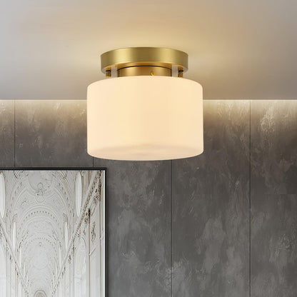 Clinio Flush Mount Ceiling Light