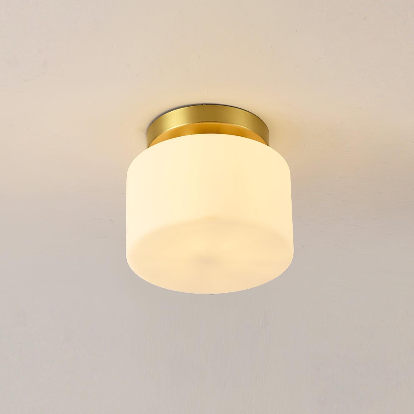 Clinio Flush Mount Ceiling Light