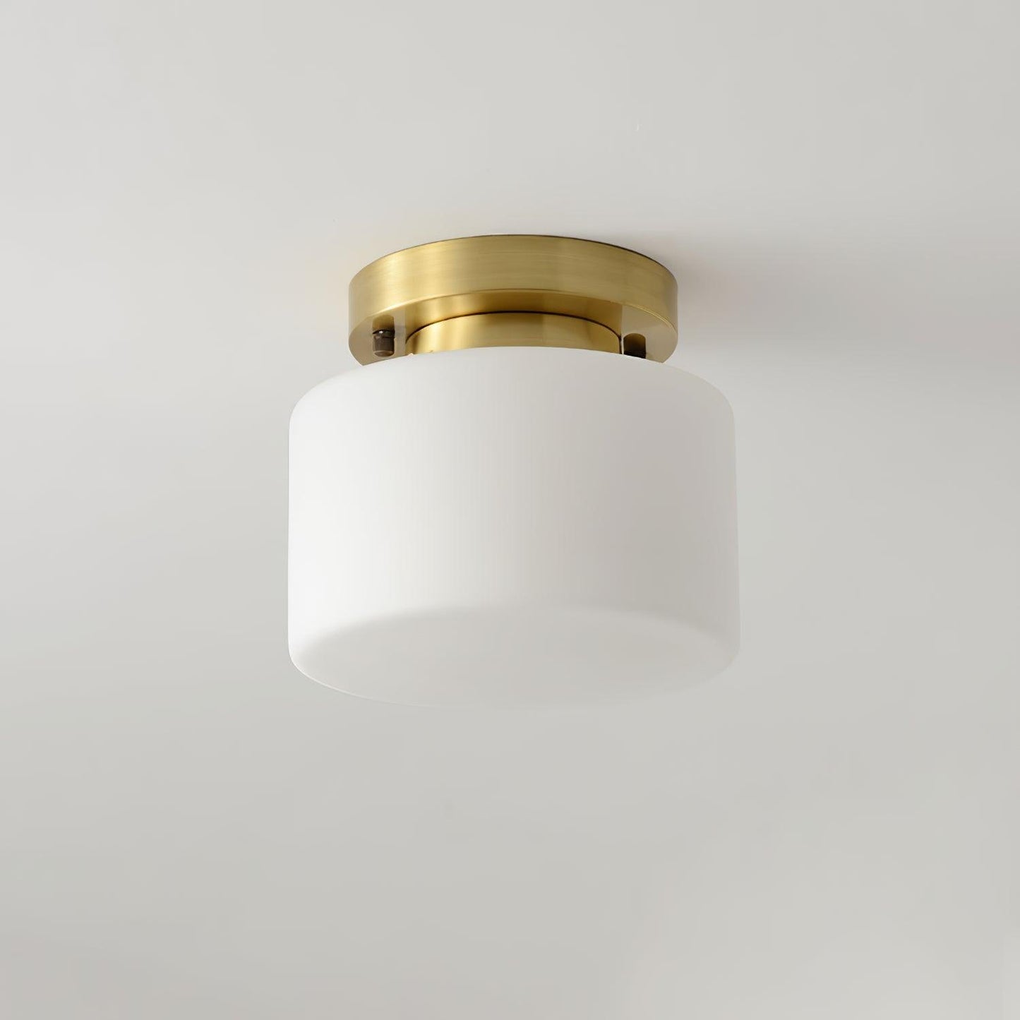 Clinio Flush Mount Ceiling Light