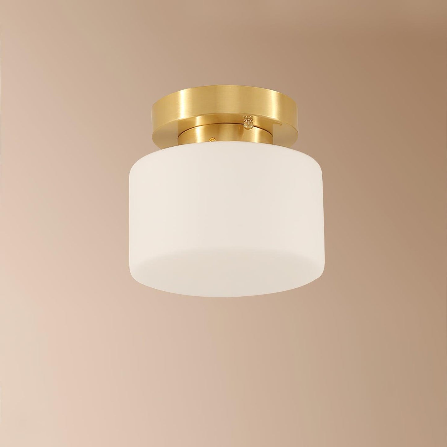 Clinio Flush Mount Ceiling Light