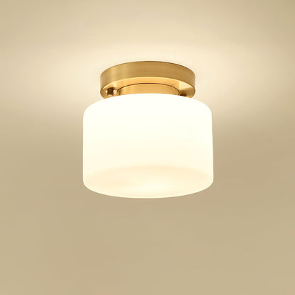 Clinio Flush Mount Ceiling Light