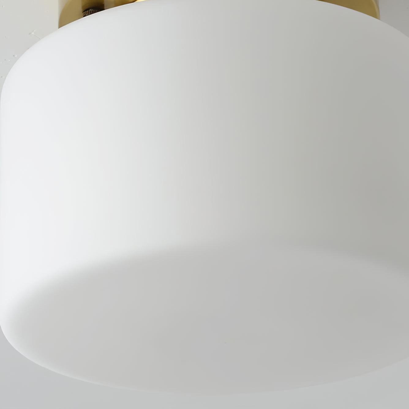 Clinio Flush Mount Ceiling Light