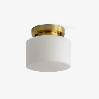 Clinio Flush Mount Ceiling Light