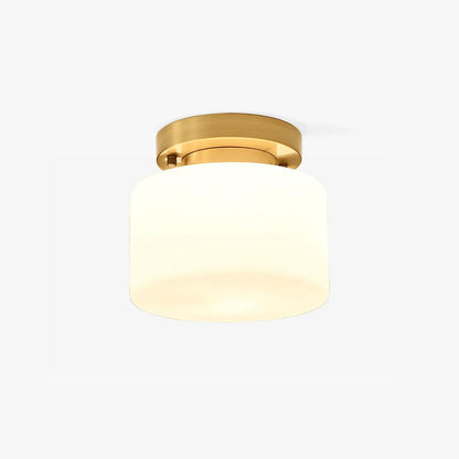 Clinio Flush Mount Ceiling Light