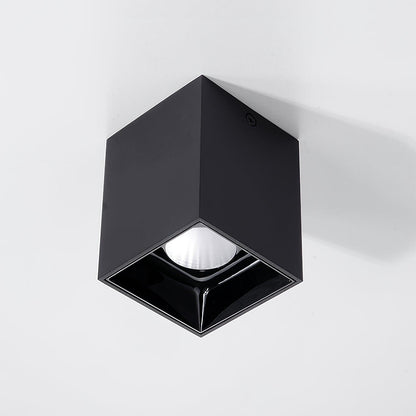 Cube Spotlight