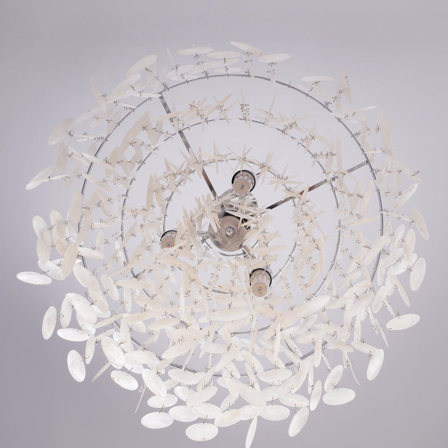 Round Shell Pendant light Chandelier