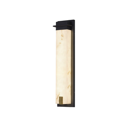 Delaney Outdoor Wall Light