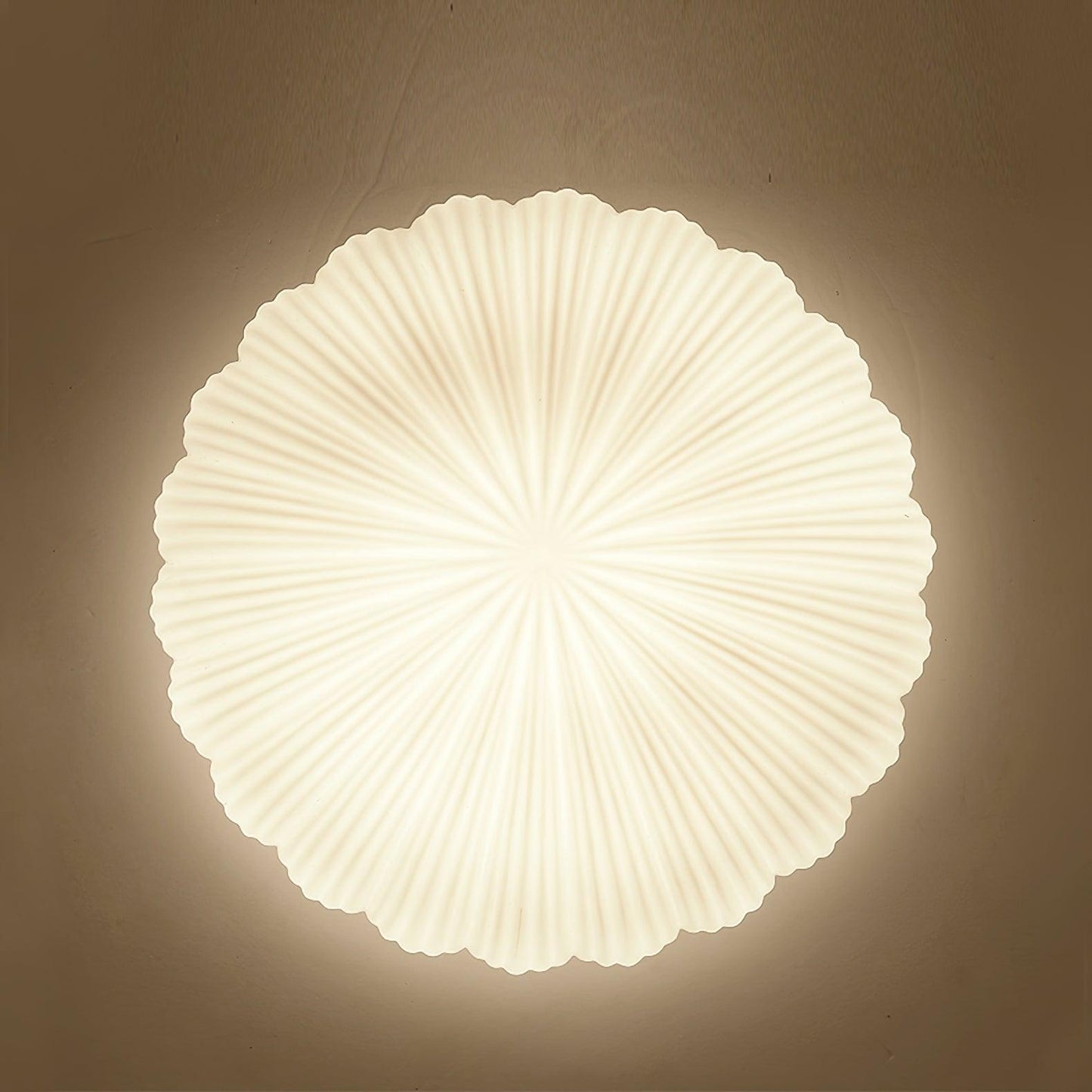 Devan Seashell Ceiling Lamp