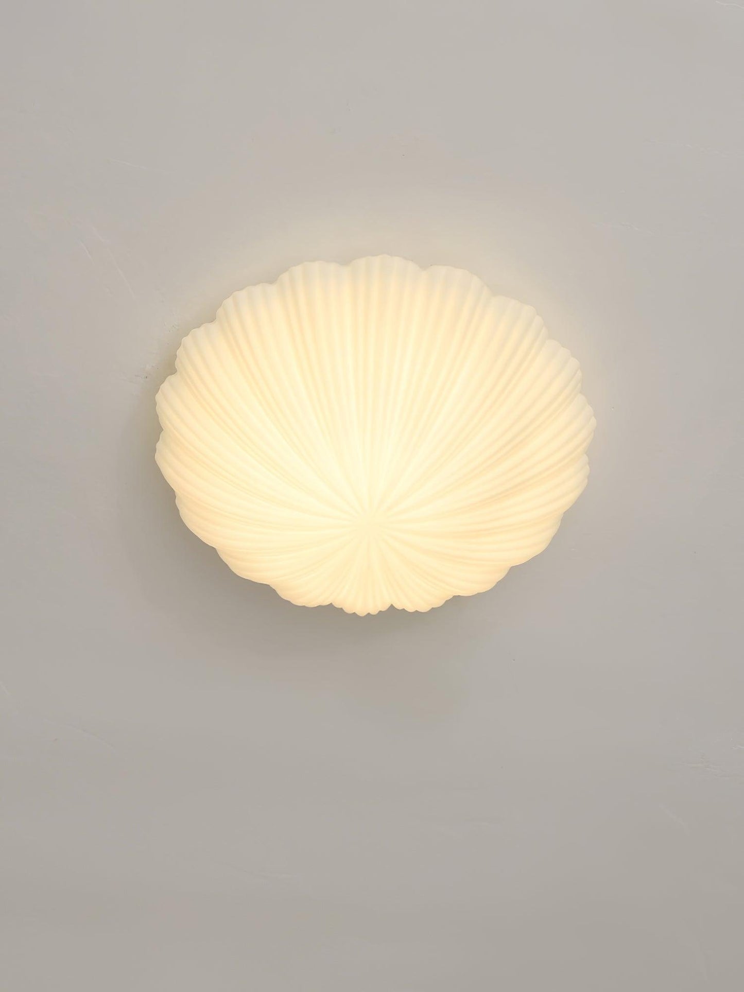 Devan Seashell Ceiling Lamp