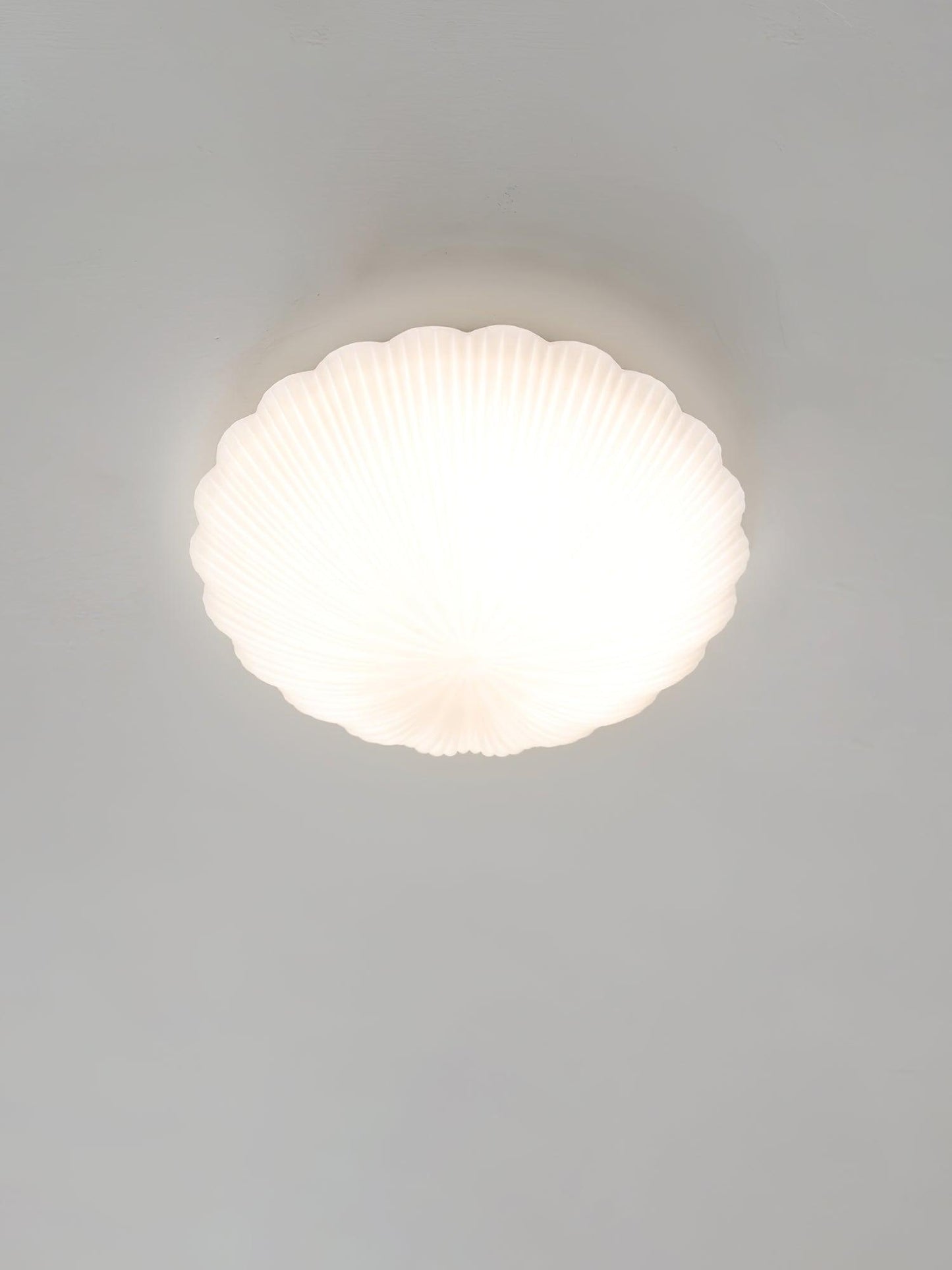 Devan Seashell Ceiling Lamp