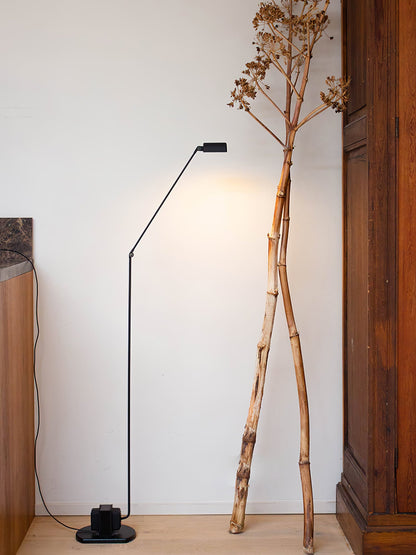 Dynamo Torchiere Lamp Floor Lamp