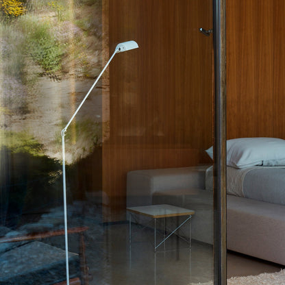 Dynamo Torchiere Lamp Floor Lamp