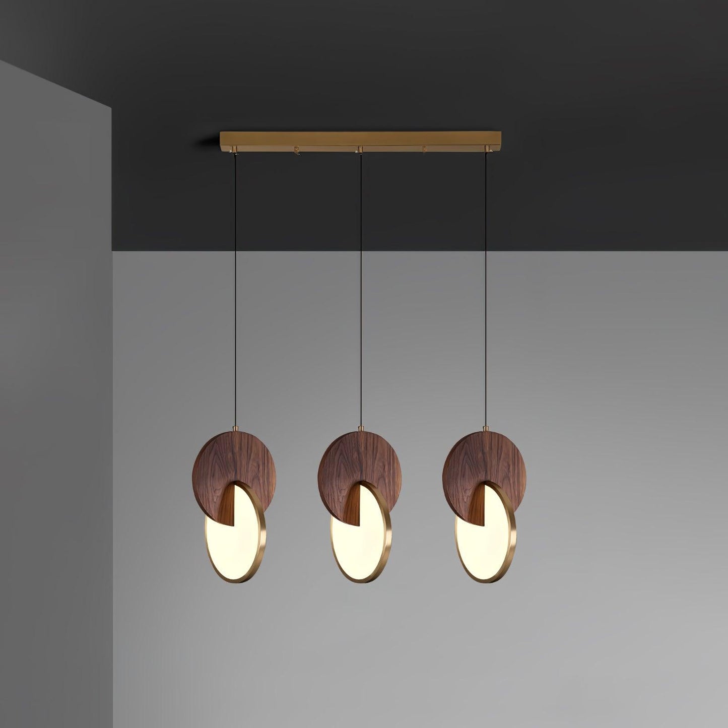 Double Disk Hanging light Pendant Lamp