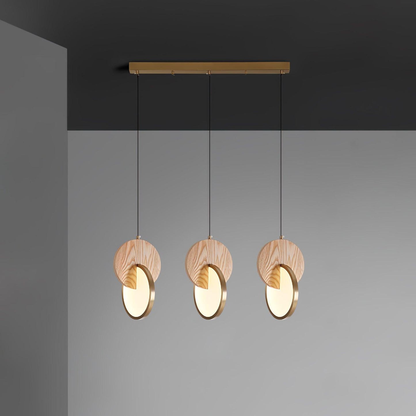 Double Disk Hanging light Pendant Lamp