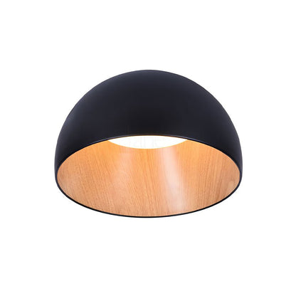 Duo Ceiling Lamp