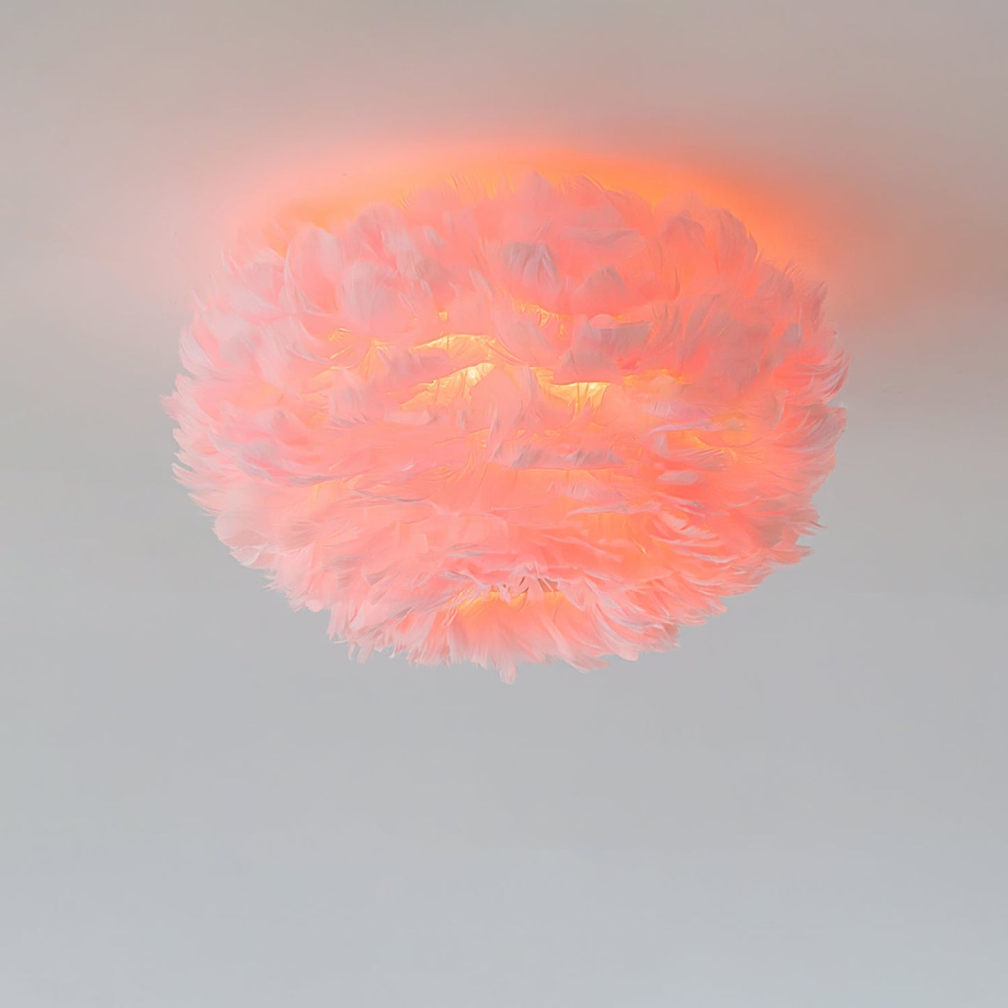 Feathered Ceiling-mounted light Ceiling Lamp