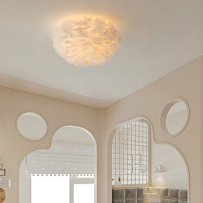 Feathered Ceiling-mounted light Ceiling Lamp