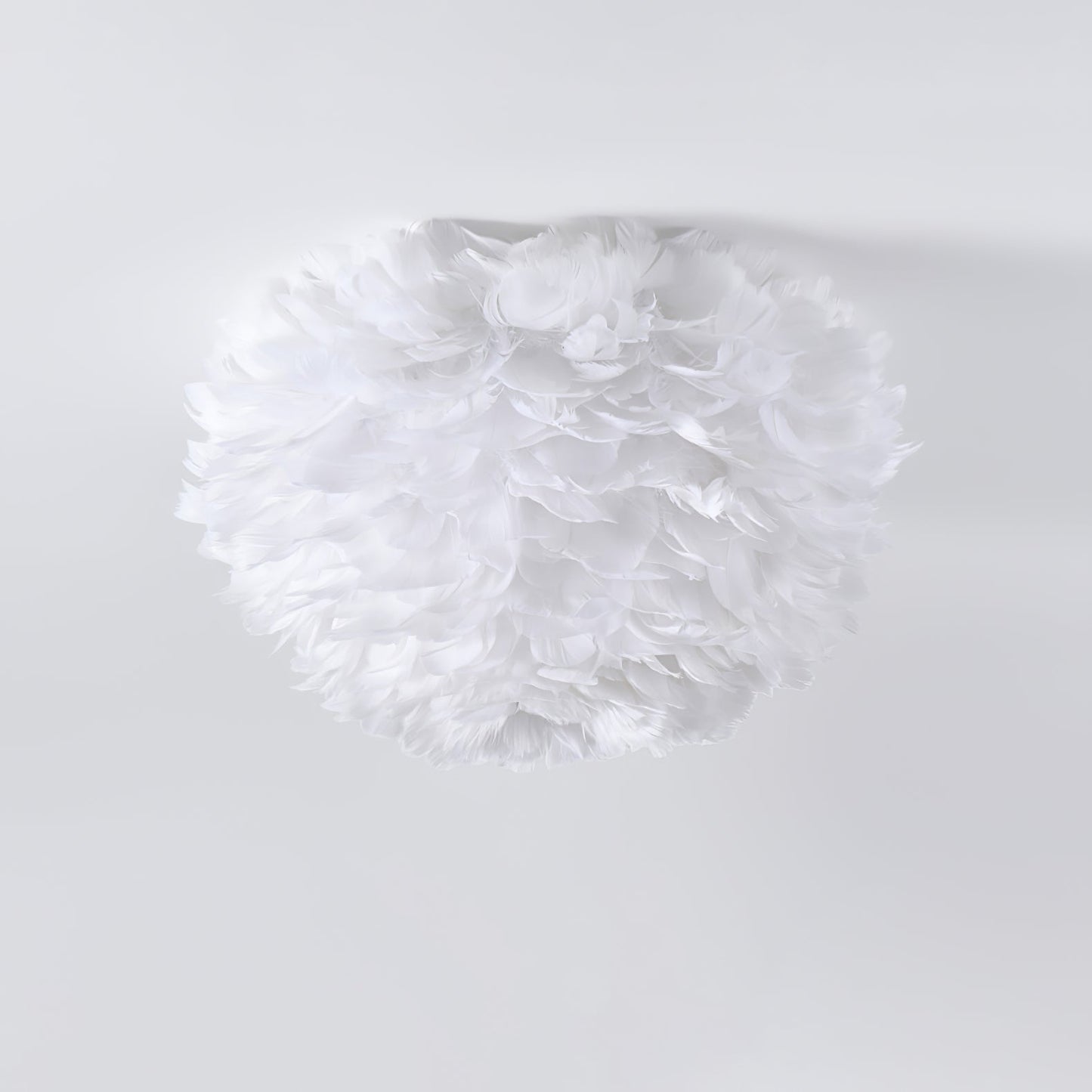 Feathered Ceiling-mounted light Ceiling Lamp