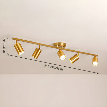 Evanna Ceiling fixture Ceiling Light