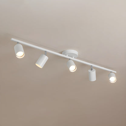 Evanna Ceiling fixture Ceiling Light