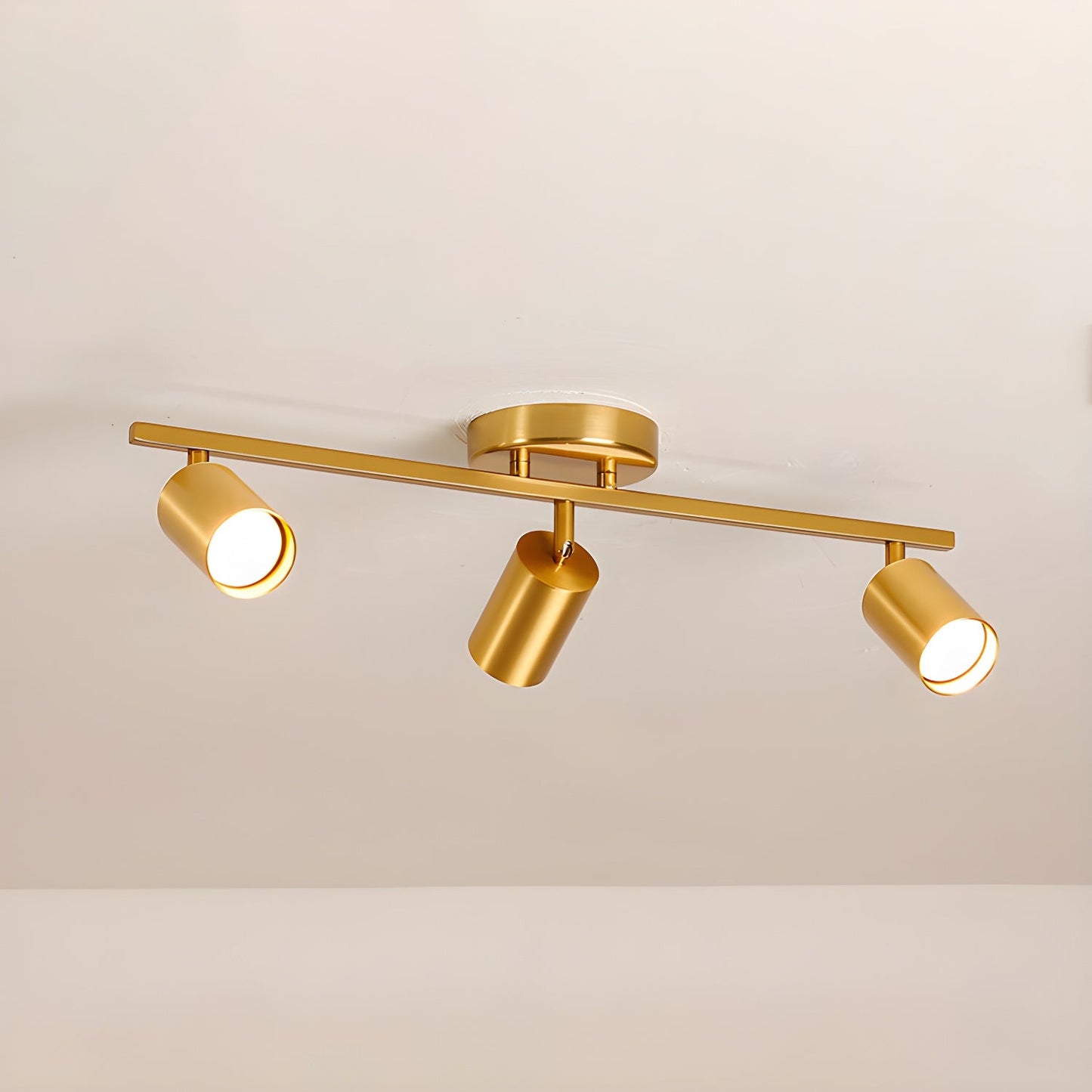 Evanna Ceiling fixture Ceiling Light