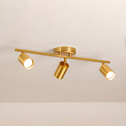 Evanna Ceiling fixture Ceiling Light