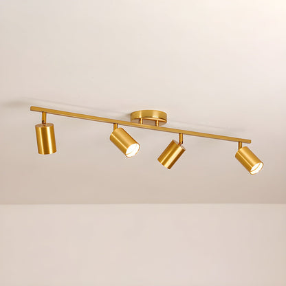 Evanna Ceiling fixture Ceiling Light