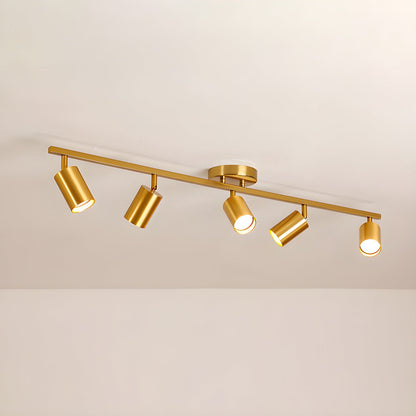 Evanna Ceiling fixture Ceiling Light