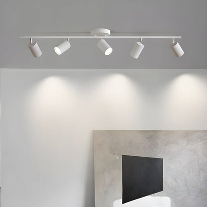 Evanna Ceiling fixture Ceiling Light