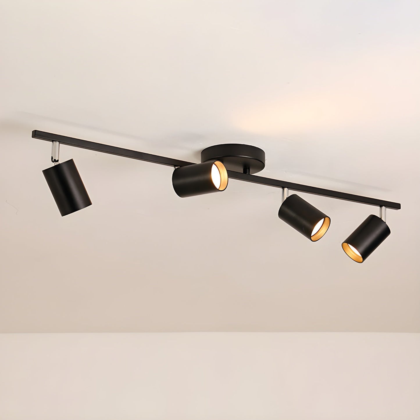 Evanna Ceiling fixture Ceiling Light