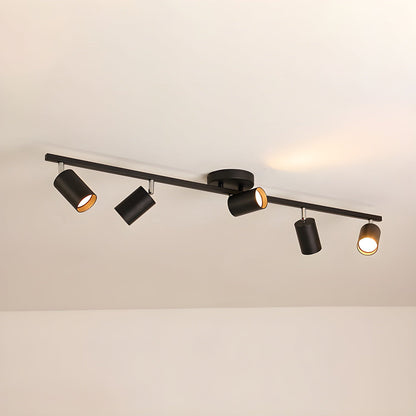 Evanna Ceiling fixture Ceiling Light