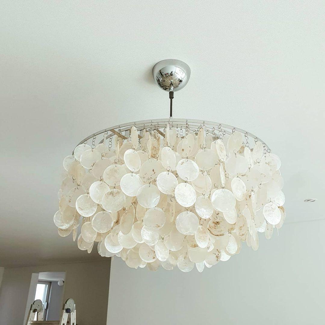 Round Shell Pendant light Chandelier