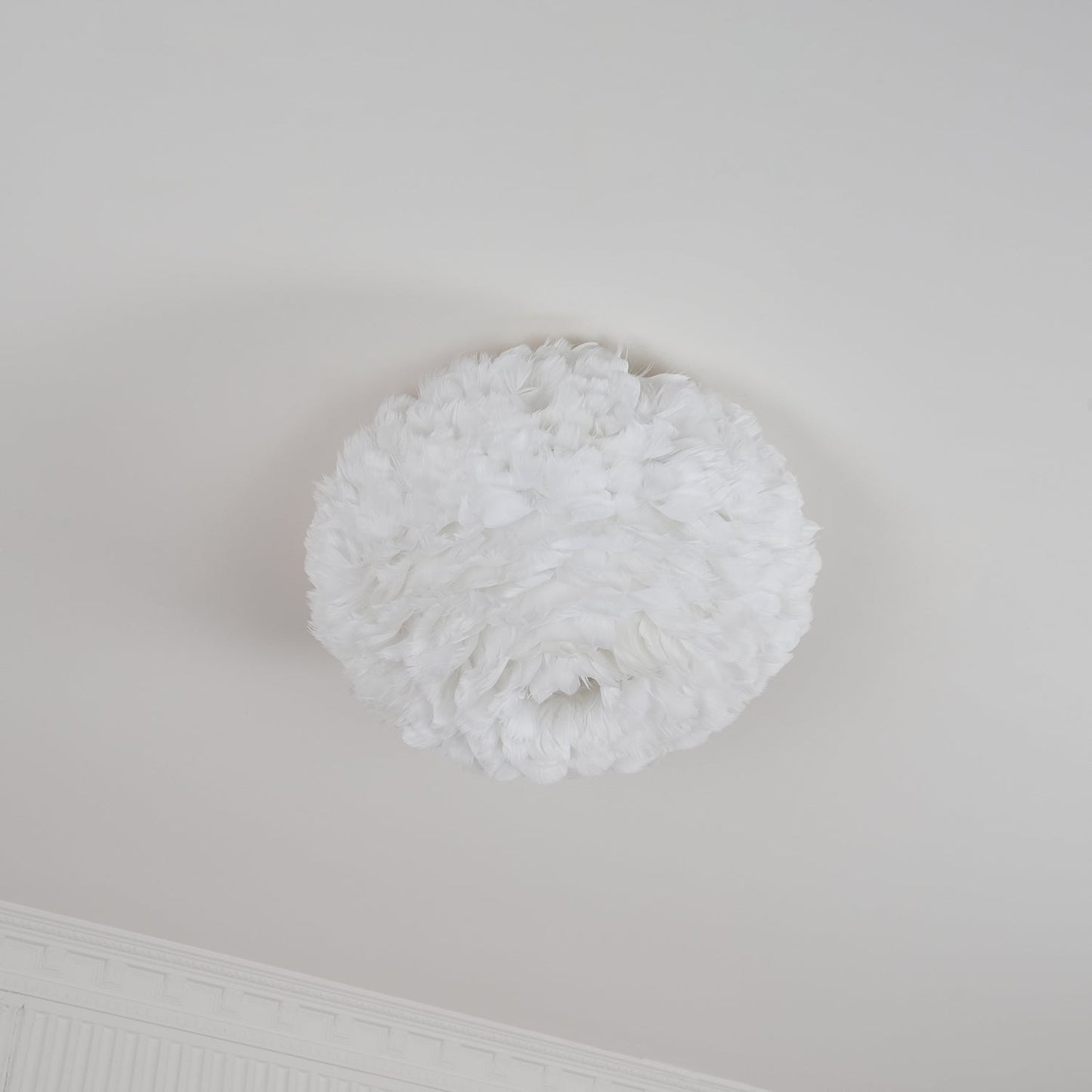 Feathered Ceiling-mounted light Ceiling Lamp