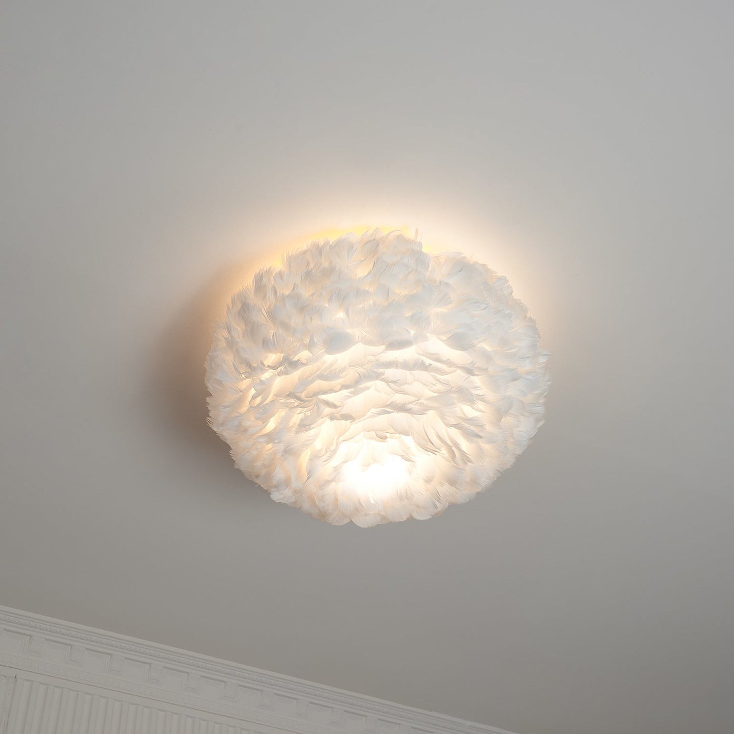 Feathered Ceiling-mounted light Ceiling Lamp