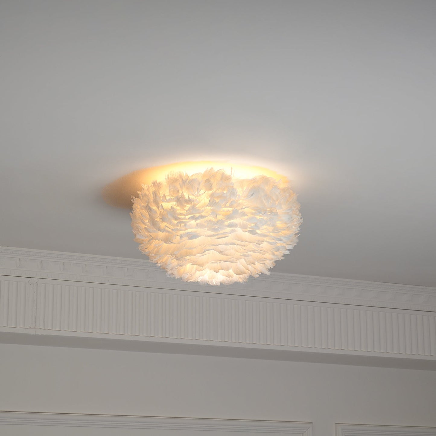 Feathered Ceiling-mounted light Ceiling Lamp