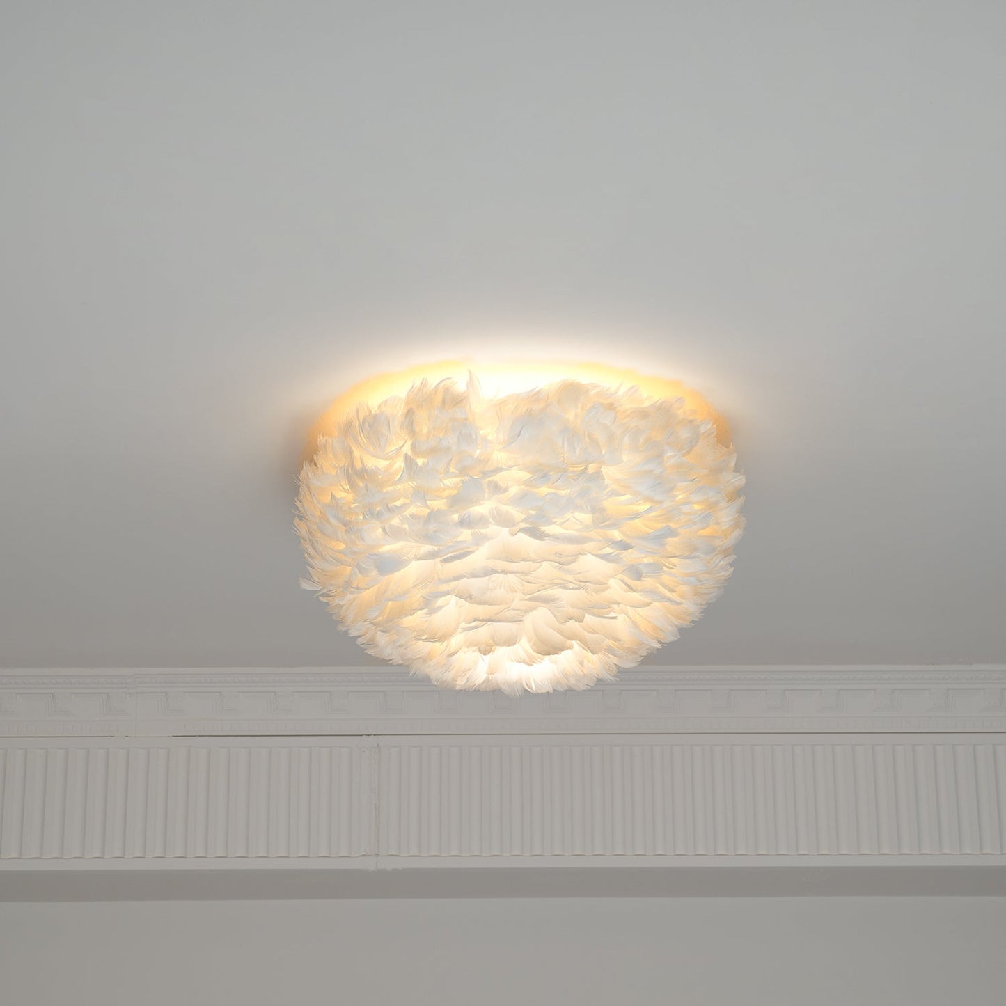 Feathered Ceiling-mounted light Ceiling Lamp