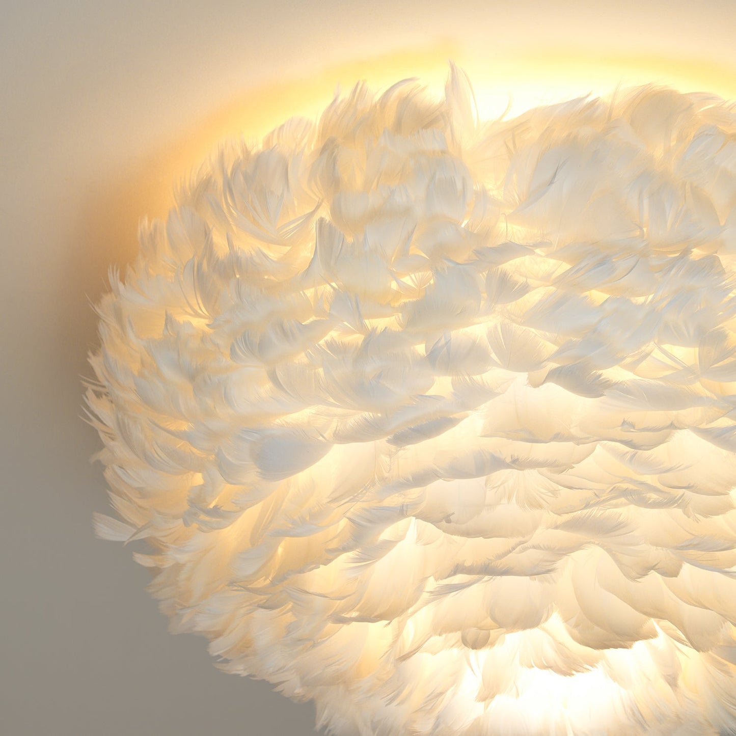 Feathered Ceiling-mounted light Ceiling Lamp