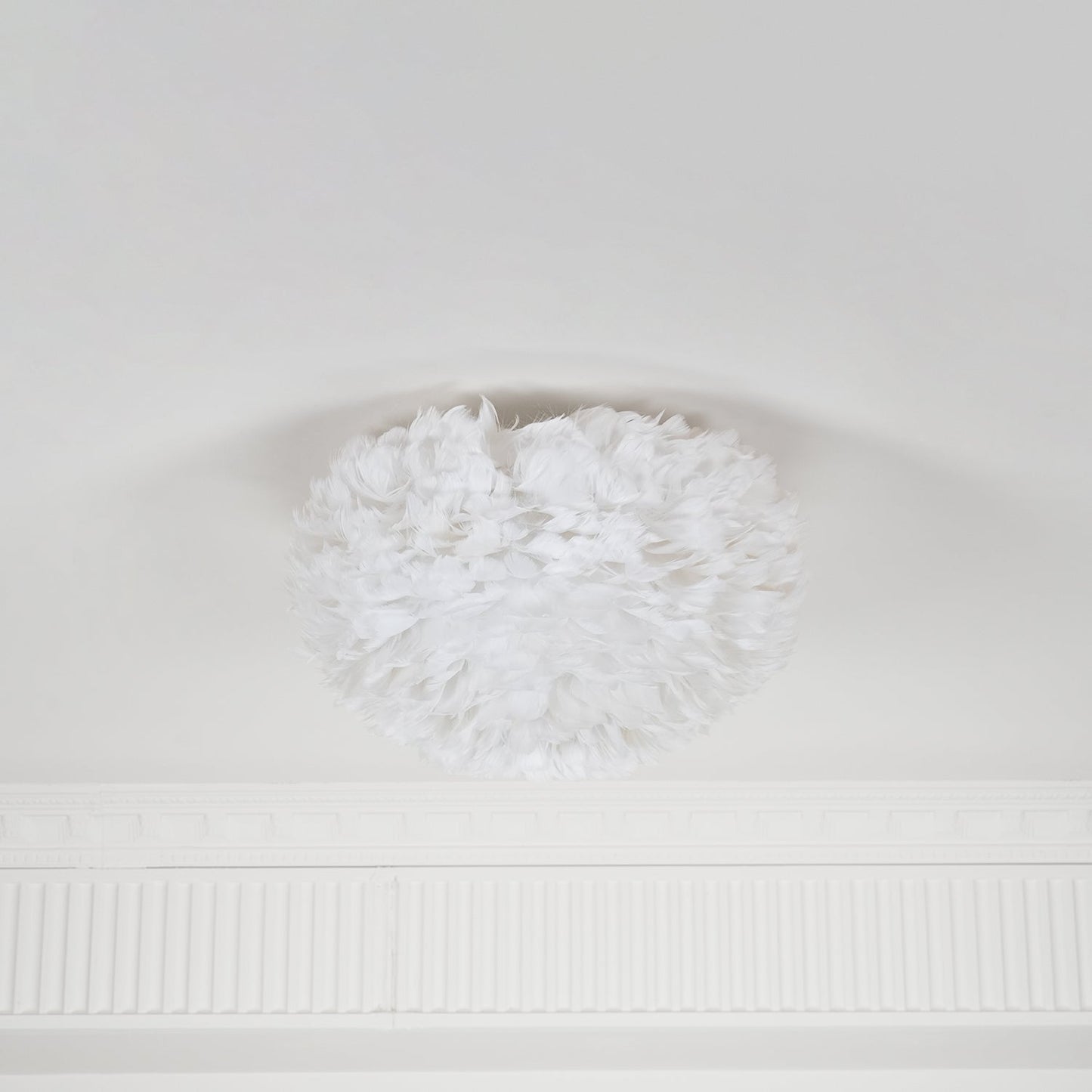 Feathered Ceiling-mounted light Ceiling Lamp