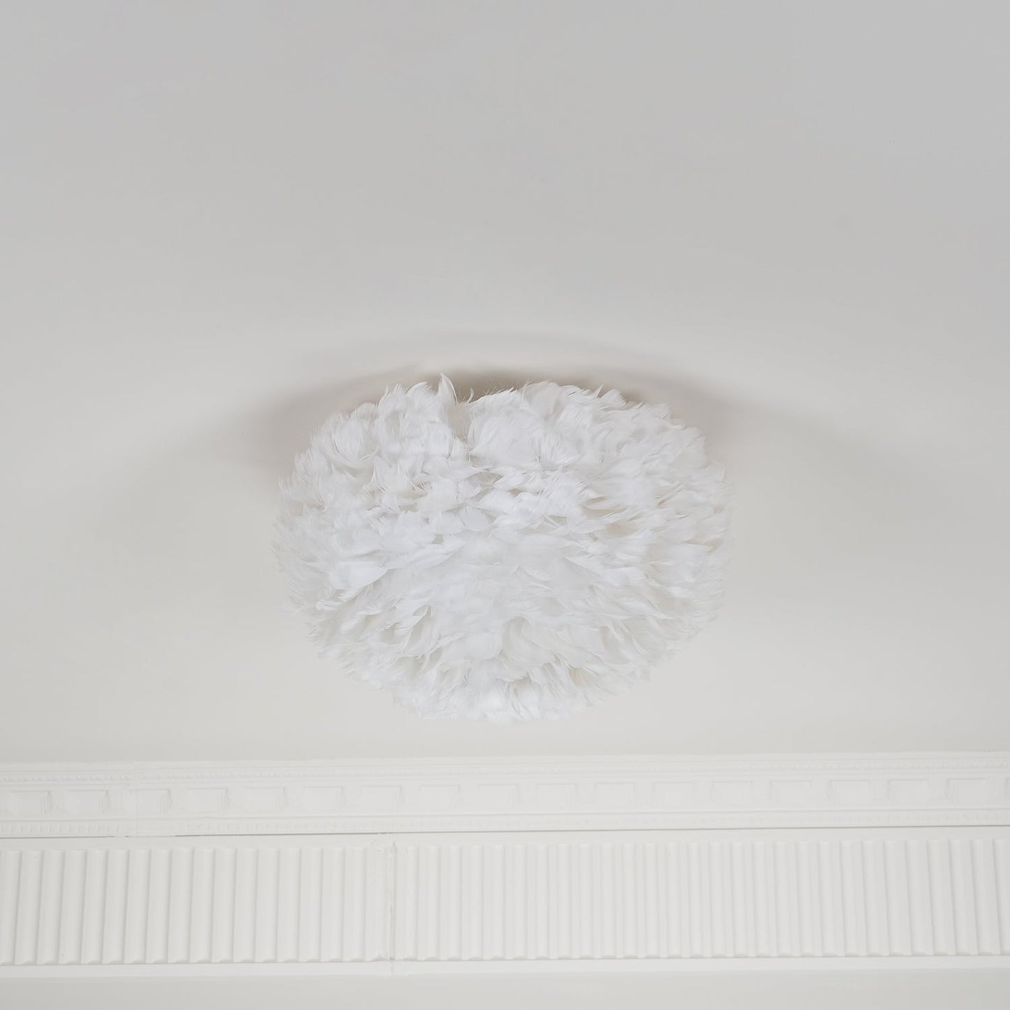 Feathered Ceiling-mounted light Ceiling Lamp