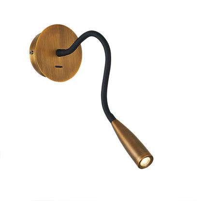 Flexi Hose Plug-in Wall Light