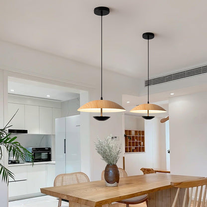 Frisbee Hanging light Pendant Lamp