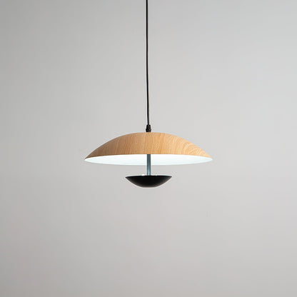 Frisbee Hanging light Pendant Lamp