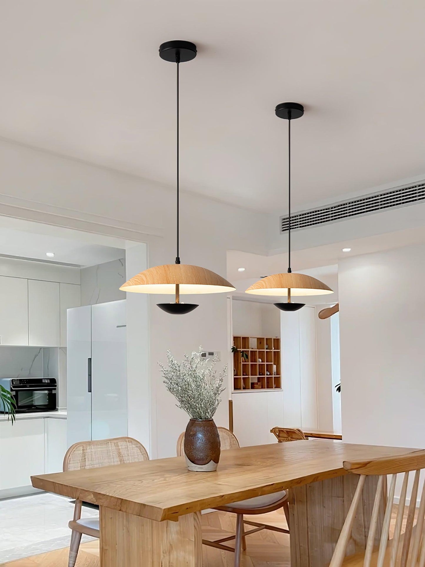 Frisbee Hanging light Pendant Lamp